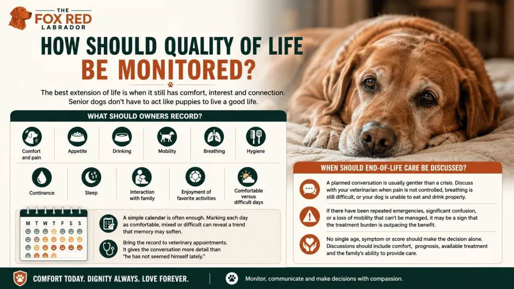How Should Quality Of Life Be Monitored?