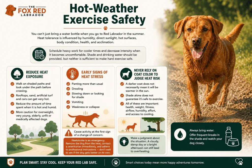 Hot-Weather Exercise Safety