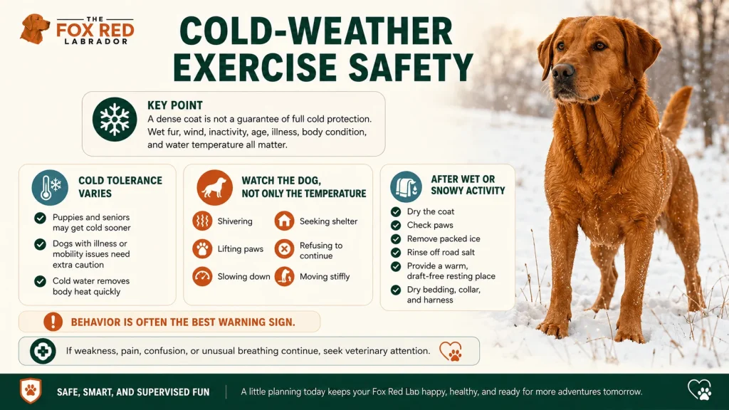 Cold-Weather Exercise Safety