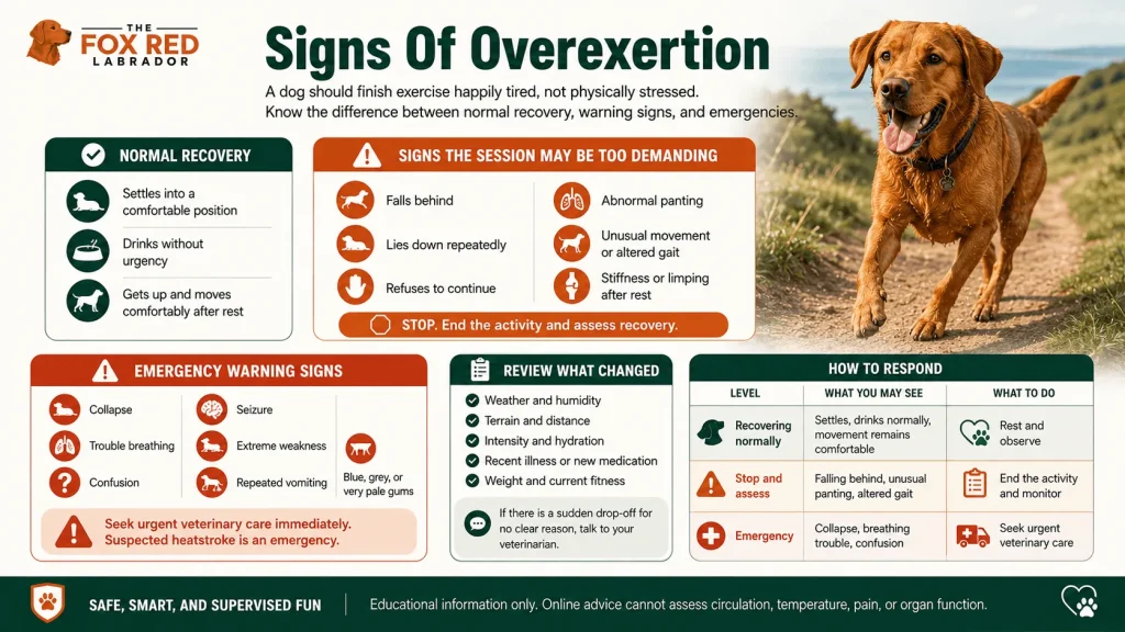 Signs Of Overexertion