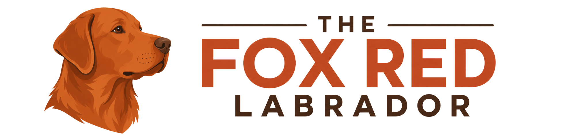 Fox Red Labrador
