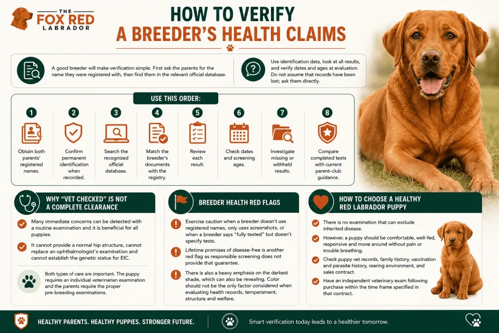 How To Verify A Breeder’s Health Claims