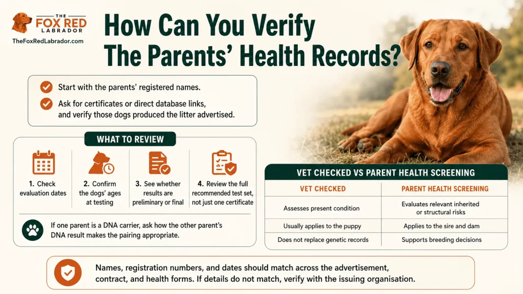 How Can You Verify The Parents’ Health Records?