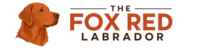 Fox Red Labrador